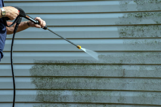 Best Building Exterior Washing  in Collinsville, AL